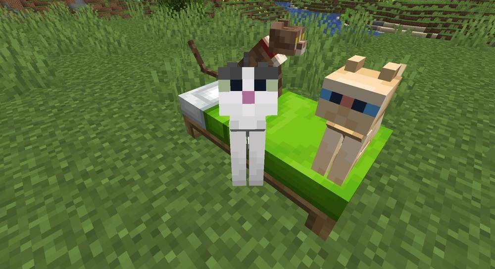 minecraft cats sitting on lime bed