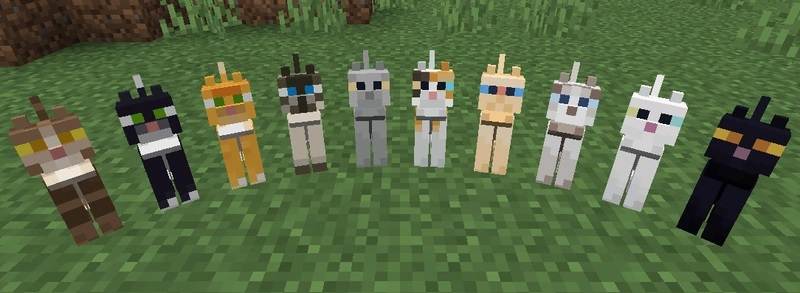 minecraft cat breeds