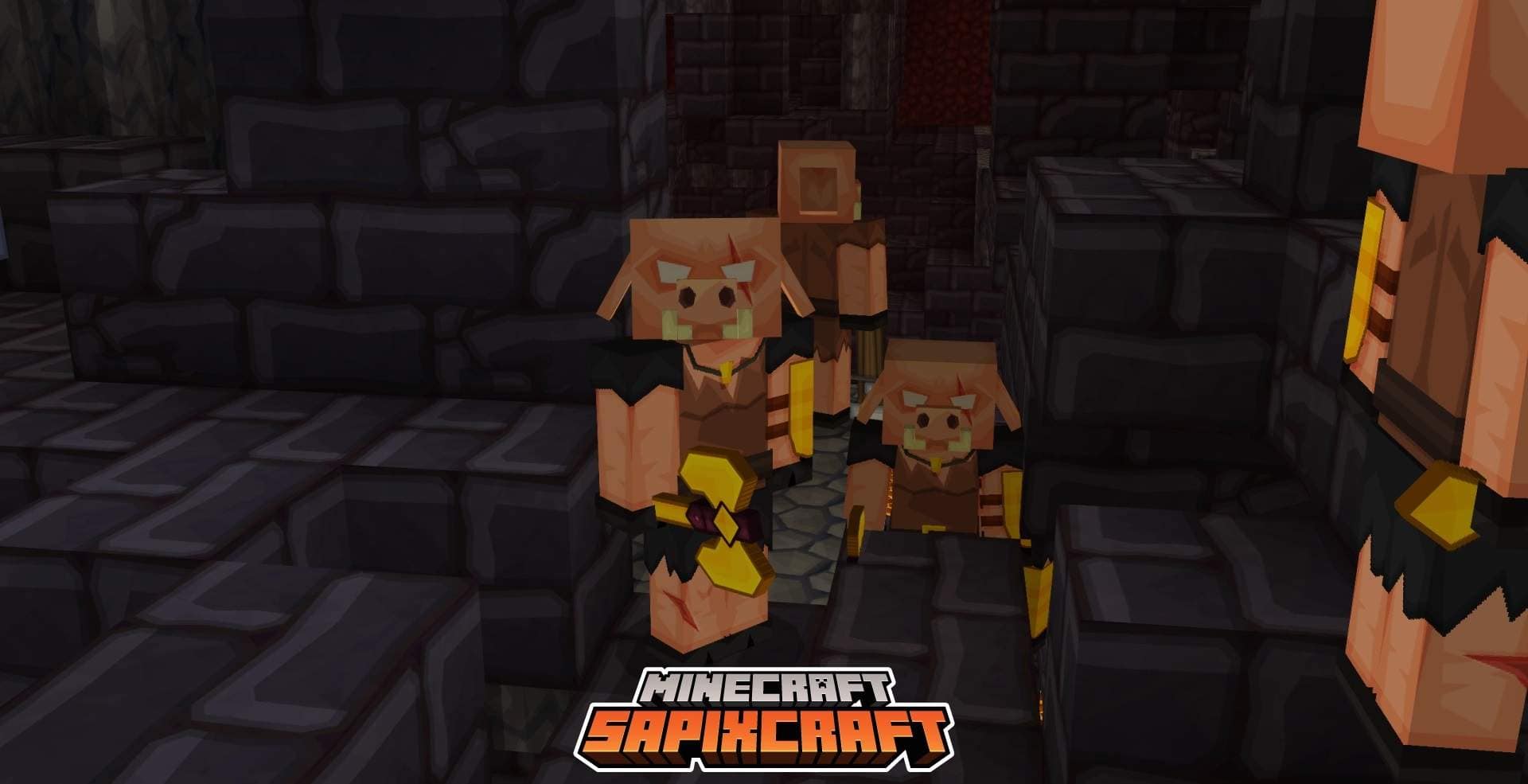 minecraft sapixcraft piglins resource pack