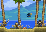 Pirate Invasion terraria