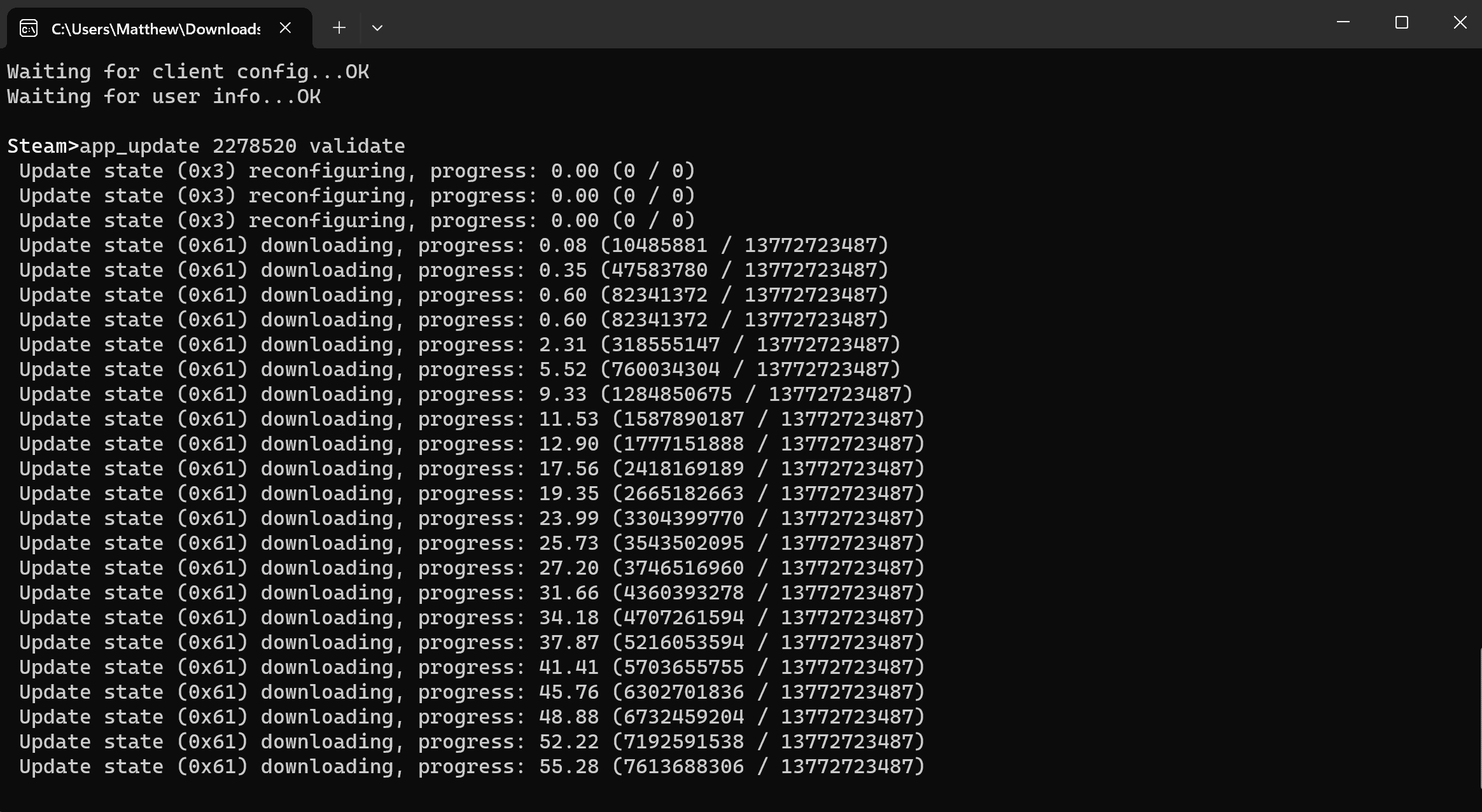 palworld dedicated server downloading on SteamCMD