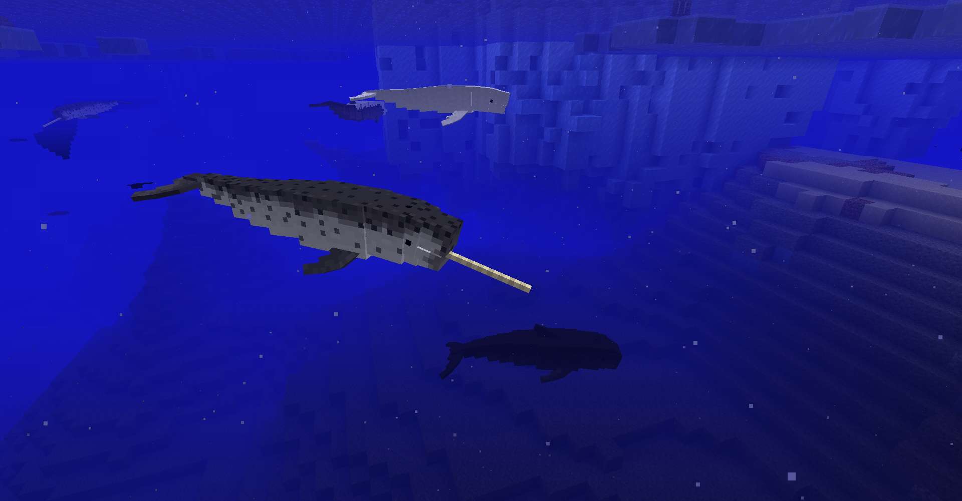 minecraft whales