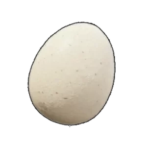 palworld egg