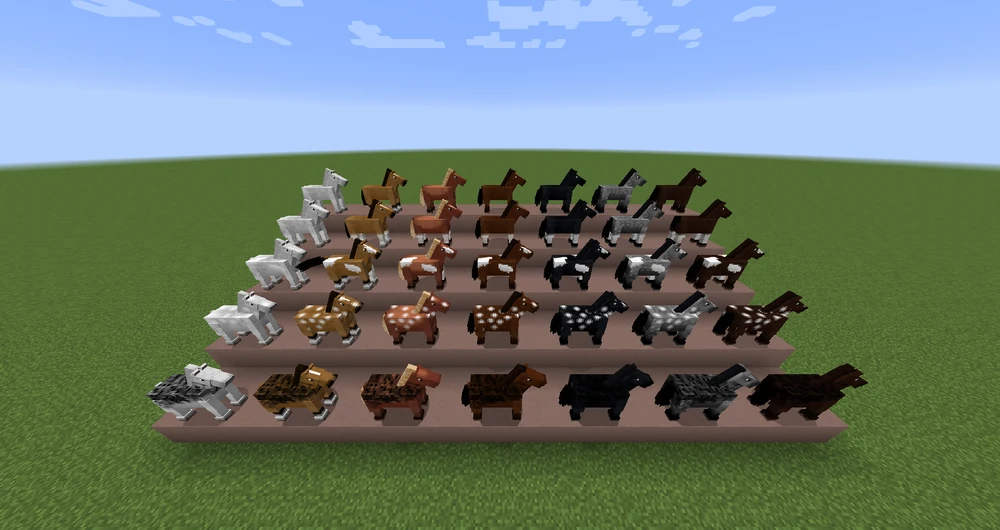 all horse breeds