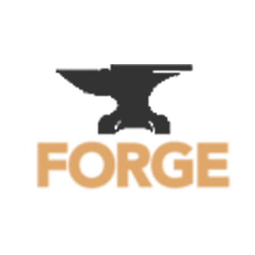 Minecraft Forge icon logo